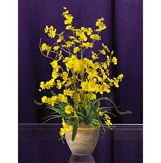 Dancing Lady Silk Orchid Arrangement