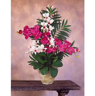 Double Phal/Dendrobium Silk Orchid Arrangement