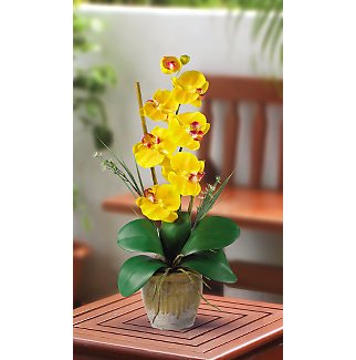 Single Stem Phalaenopsis Orchid Silk Flower Arrangement