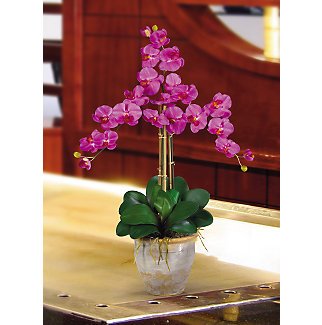 Triple Stem Phalaenopsis Silk Orchid Flower Arrangement