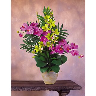 Double Phal/Dendrobium Silk Orchid Arrangement