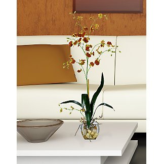 Oncidium Liquid Illusion Silk Orchid Arrangement (Burgundy)