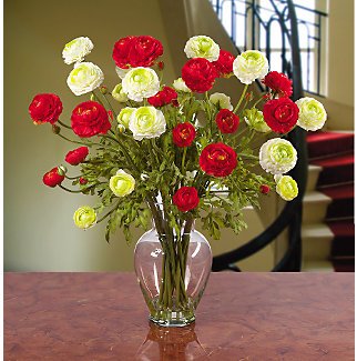 Ranunculus Holiday Liquid Illusion
