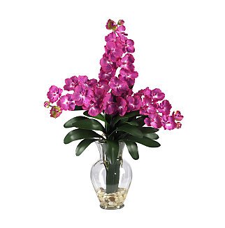 Triple Vanda Orchid Liquid Illusion