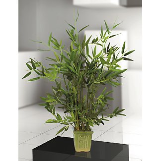 Bamboo Table Top Silk Tree 28 in