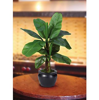 Banana Silk Palm Tree w/Black Vase 22 in