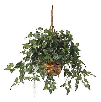 English Ivy Hanging Basket Silk Plant