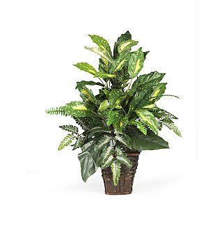Mixed Greens w/Wicker Silk Plant