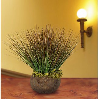 Potted Onion Grass Silk Plant