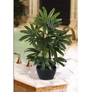 Raphis Silk Palm Tree w/Black Vase 20 in