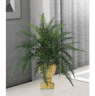 River Fern Silk Plant w/Decorative Basket
