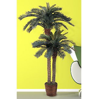 Double Potted Sago Palm Silk Tree 6ft and 4ft