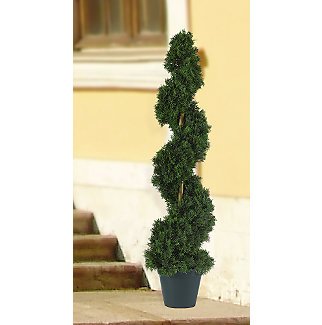 Cedar Sprial Tree 3 ft