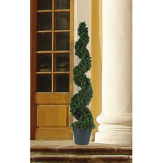 Cedar Sprial Tree 4 ft