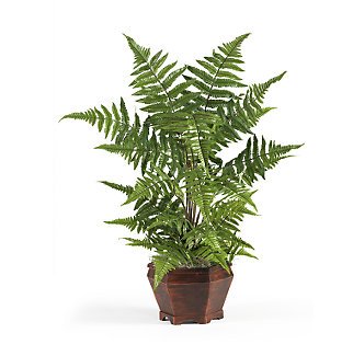 Forest Fern w/Wood Vase Silk Plant