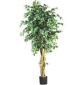 6' Palace Style Ficus Silk Tree