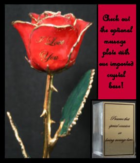 The "I Love You" Red Rose