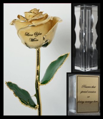 The Mother's Day Rose