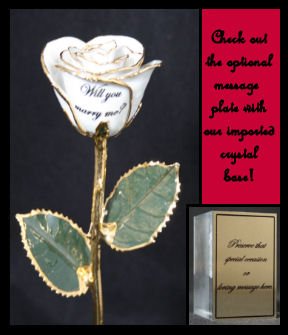 The Proposal Rose "Will You Marry Me?"