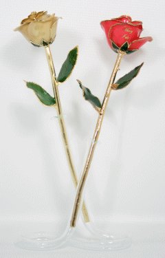 The "I Do" Roses