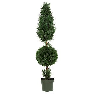 Cypress Ball and Cone 5' (Indoor/Outdoor) Silk Tree