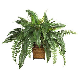 Boston Fern w/Wood Wicker Basket Silk Plant