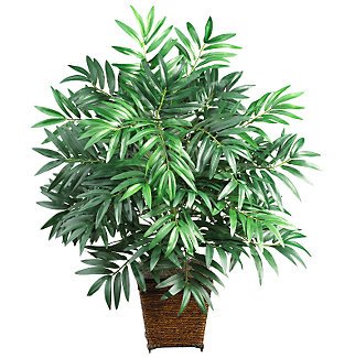 Bamboo Palm w/Wood Wicker Basket Silk Plant