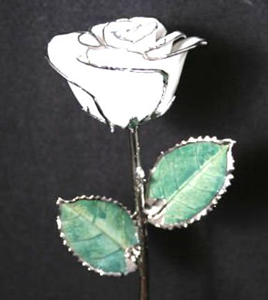 11 1/2" Diamond White/Silver Rose