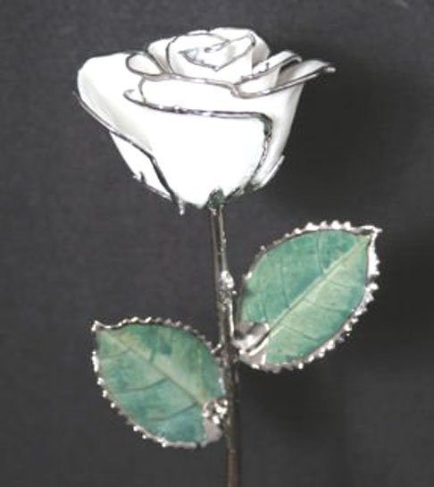 Anniversary Roses - (2) 11" Diamond White/Silver with Vase