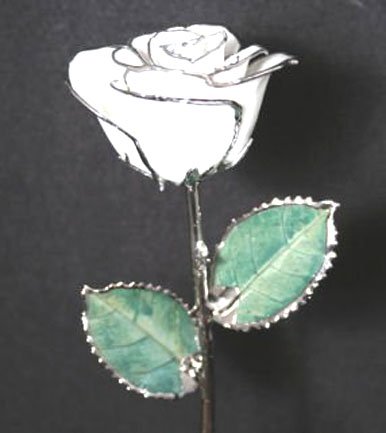 Trio of 11 1/2" Diamond White/Silver Roses