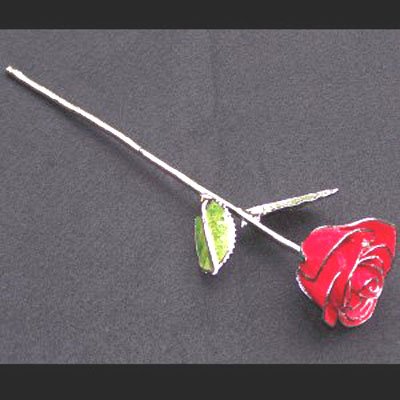 11" Platinum/Red Rose