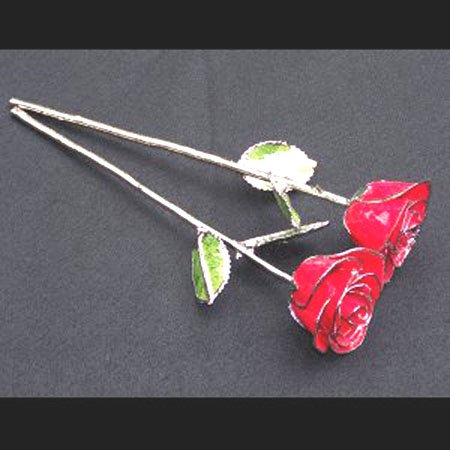 Anniversary Platinum/Red Roses (2) 11" with Vase