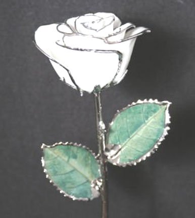Six 11" Diamond White/Platinum Roses