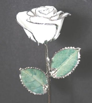 Trio of 11" Diamond White/Platinum Roses