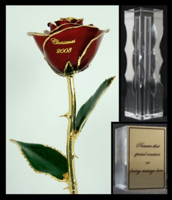 The 11" Christmas Rose