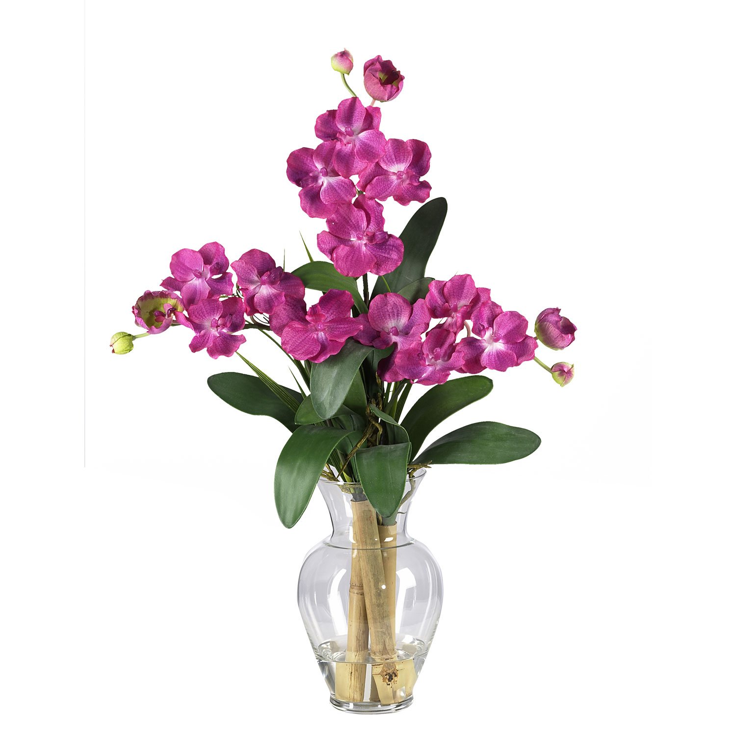Triple Mini Vanda Liquid Illusion