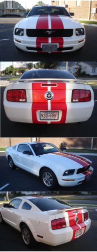 Mustang 10" Precut Racing Stripes Stripe Kit