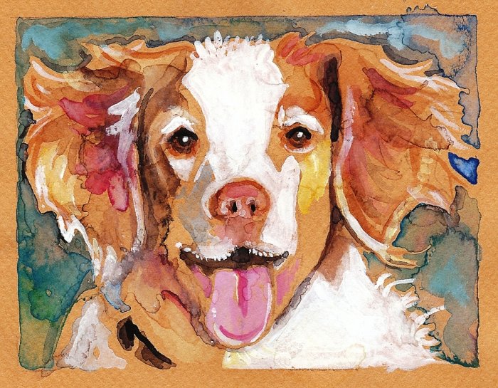 "Brittany Spaniel" Watercolor Painting Print
