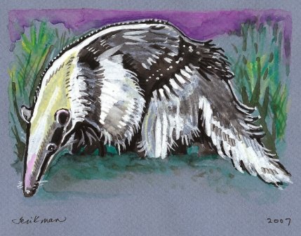 "Giant Anteater" Watercolor Painting Print