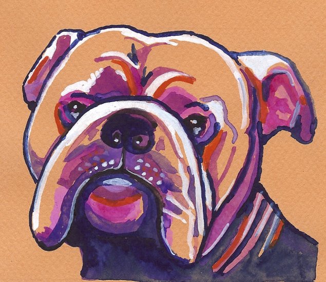 "Bulldog" Watercolor Painting Print