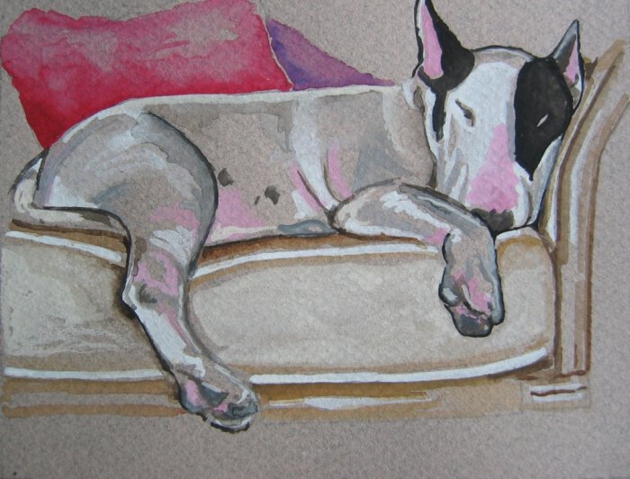 "Napping Bull Terrier" Watercolor Painting Print