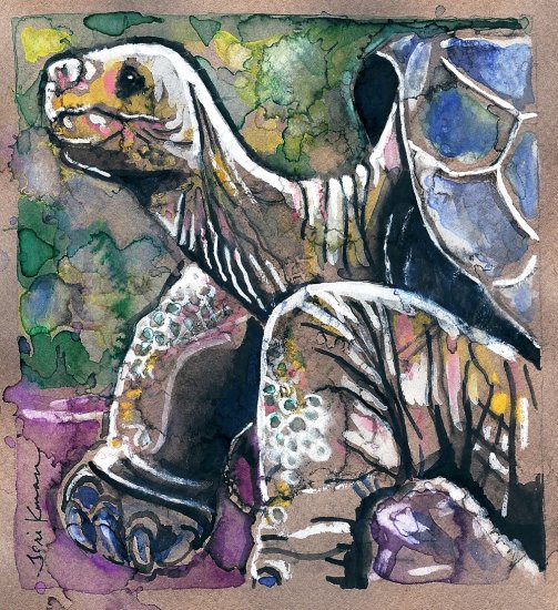 "Galapagos Tortoise" Watercolor Painting Print