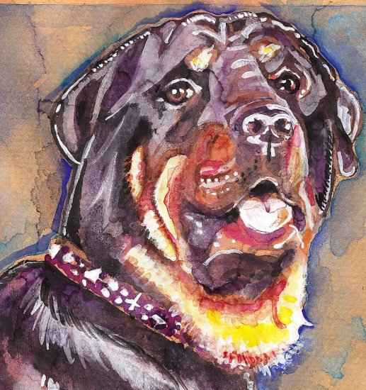 "Rottweiler (Malika)" Watercolor Painting Print