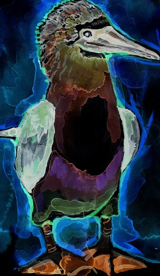 "Neon Booby" Watercolor Painting Print