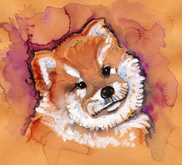 "Chow" Watercolor Painting Print