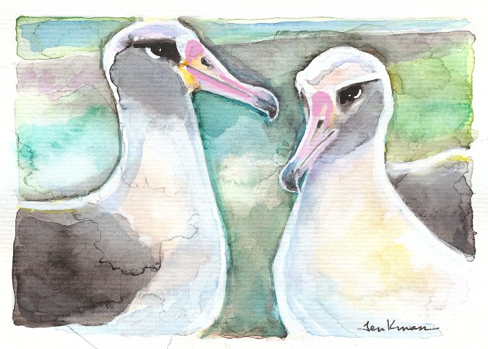 "Albatross Pair" Watercolor Painting Print