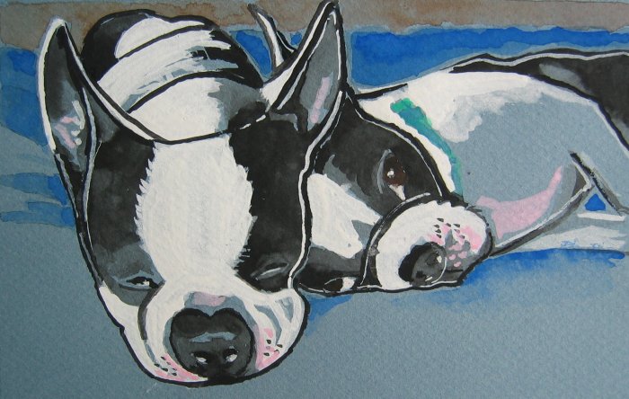 Sleeping Boston Terriers" Watercolor Painting Print