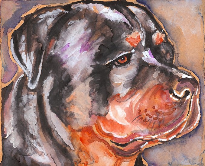 "Rottweiler (Blue)" Watercolor Painting Print
