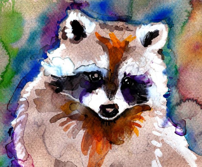 "Raccoon" Watercolor Painting Print
