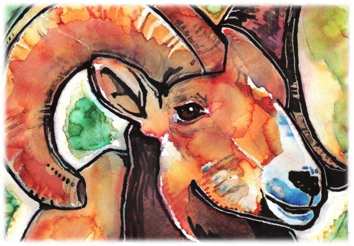 "Bighorn Sheep" Watercolor Painting Print